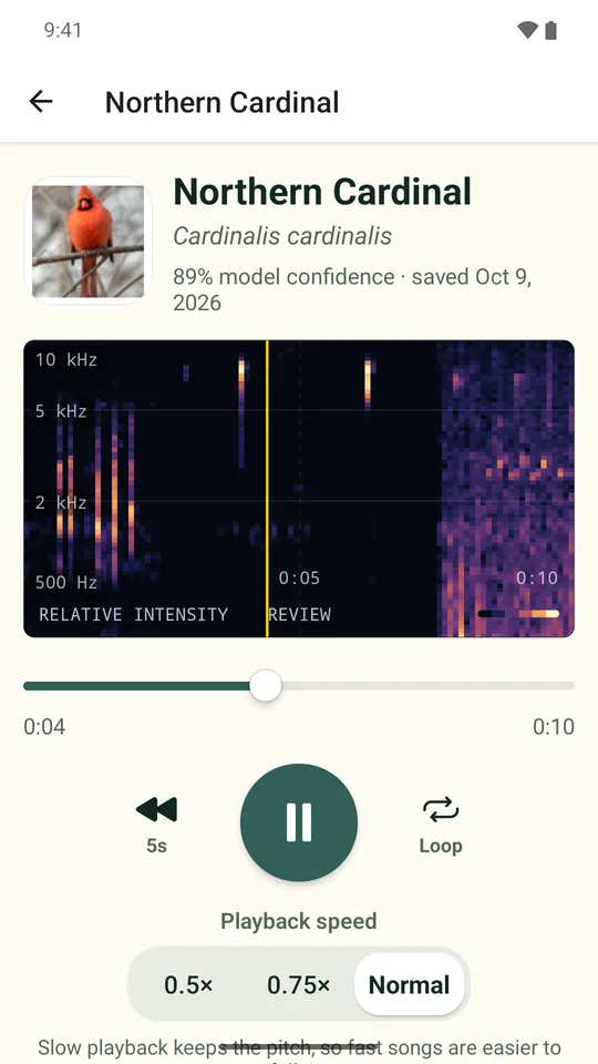 Android player for a saved clip with sonogram, slow playback and loop controls
