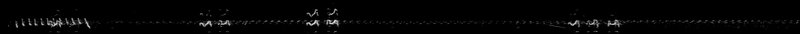 Spectrogram of a American Kestrel flight call: time runs left to right and pitch rises upward