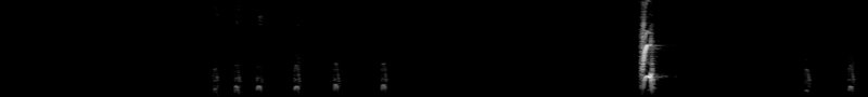 Spectrogram of a American Robin call: time runs left to right and pitch rises upward