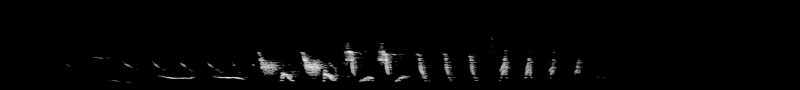 Spectrogram of a American White Pelican call, wing noise: time runs left to right and pitch rises upward