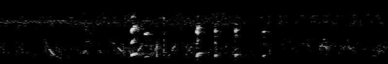 Spectrogram of a Bald Eagle sound: time runs left to right and pitch rises upward