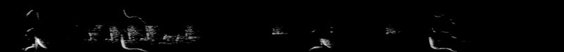 Spectrogram of a Baltimore Oriole song: time runs left to right and pitch rises upward