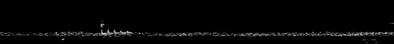 Spectrogram of a Canada Goose call: time runs left to right and pitch rises upward