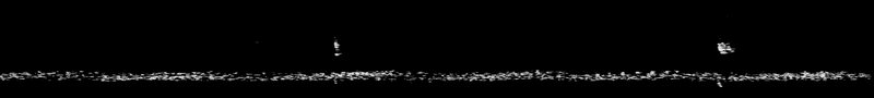 Spectrogram of a Canada Goose call: time runs left to right and pitch rises upward