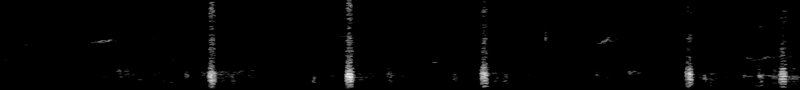 Spectrogram of a Common Grackle call: time runs left to right and pitch rises upward