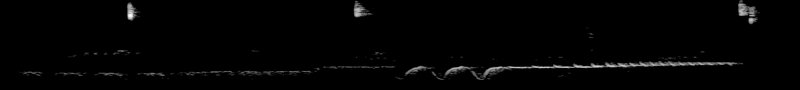Spectrogram of a Eastern Towhee call: time runs left to right and pitch rises upward