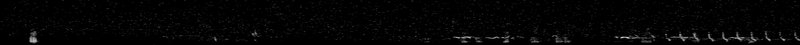 Spectrogram of a Gadwall nocturnal flight call: time runs left to right and pitch rises upward