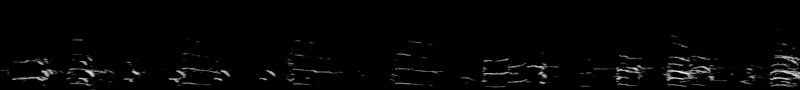 Spectrogram of a Herring Gull flight call: time runs left to right and pitch rises upward