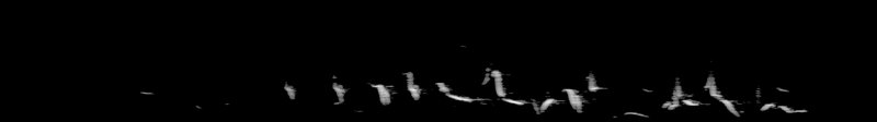 Spectrogram of a House Finch song: time runs left to right and pitch rises upward