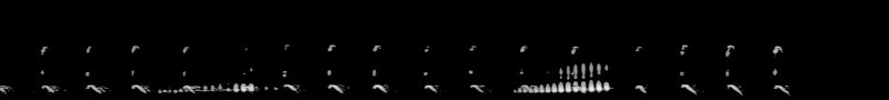 Spectrogram of a Lesser Yellowlegs call: time runs left to right and pitch rises upward