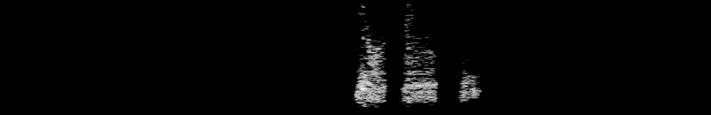 Spectrogram of a Red-breasted Nuthatch call: time runs left to right and pitch rises upward