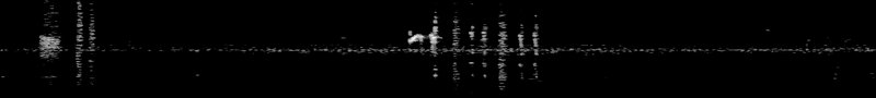 Spectrogram of a Ruby-throated Hummingbird call: time runs left to right and pitch rises upward