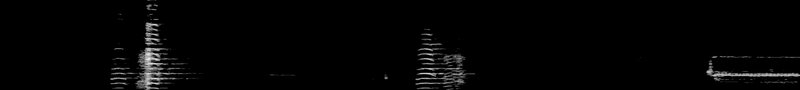 Spectrogram of a Trumpeter Swan call: time runs left to right and pitch rises upward