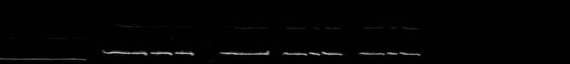 Spectrogram of a White-throated Sparrow song: time runs left to right and pitch rises upward