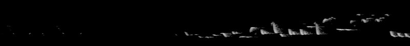 Spectrogram of a Winter Wren song: time runs left to right and pitch rises upward